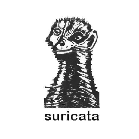 b21_suricata